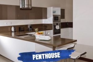 Esplanade Penthouse kitchen