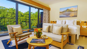 Superior room forest facing